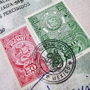 Business Setup Consultation